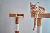 Le-guide-ultime-pour-choisir-l-arbre-à-chat-parfait PawsFectly