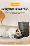 Distributeur Automatique ROJECO 🐾 PawFectly