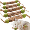 Jouet Naturel pour Chat – Bâtonnets Matatabi & Corde en Sisal 🌿🐾 PawFectly