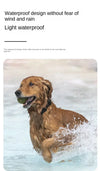 Pet Bluetooth GPS Tracker – Collier Intelligent Anti-Perte pour Chats 🐱