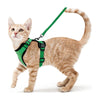 Harnais et Laisse pour Chat – Gilet Ajustable Anti-Fuite 🐾