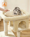 Arbre à Chat Feandrea 84 cm – Tour avec Condo, Perchoir & Griffoirs PawsFectly