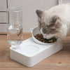 Gamelle Double Inclinée – Eau & Nourriture pour Chats et Petits Chiens 🐾