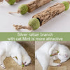 Jouet Naturel pour Chat – Bâtonnets Matatabi & Corde en Sisal 🌿🐾 PawFectly