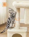 Arbre à Chat Feandrea 84 cm – Tour avec Condo, Perchoir & Griffoirs PawsFectly