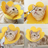 Collier Protecteur pour Chat – Cône de Récupération Anti-Léchage et Anti-Morsure 🐾