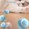Balle Interactive pour Chat et Chien – Jouet Intelligent & Rechargeable 🐾
