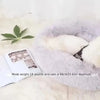 Panier Rond en Peluche | Nid Confortable 🐾 PawFectly