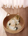 Nid en Rotin Tressé à la Main pour Chat – Confort Toutes Saisons 🐾 PawFectly