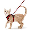 Harnais et Laisse pour Chat – Gilet Ajustable Anti-Fuite 🐾