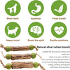 Jouet Naturel pour Chat – Bâtonnets Matatabi & Corde en Sisal 🌿🐾 PawFectly
