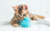 Top 10 Cat Toys to Keep Your Feline Entertained