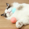 Balle Interactive pour Chat et Chien – Jouet Intelligent & Rechargeable 🐾