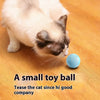 Balle Interactive pour Chat et Chien – Jouet Intelligent & Rechargeable 🐾