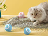 Balle Interactive pour Chat et Chien – Jouet Intelligent & Rechargeable 🐾