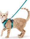 Harnais et Laisse pour Chat – Gilet Ajustable Anti-Fuite 🐾