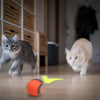 Balle Interactive pour Chat et Chien – Jouet Intelligent & Rechargeable 🐾