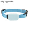 Pet Bluetooth GPS Tracker – Collier Intelligent Anti-Perte pour Chats 🐱