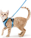 Harnais et Laisse pour Chat – Gilet Ajustable Anti-Fuite 🐾