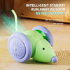 Balle Interactive pour Chat et Chien – Jouet Intelligent & Rechargeable 🐾