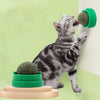 Boule de Cataire Murale pour Chat – Friandise Naturelle & Jouet Interactif 🌿🐾