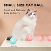 Balle Interactive pour Chat et Chien – Jouet Intelligent & Rechargeable 🐾