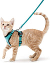 Harnais et Laisse pour Chat – Gilet Ajustable Anti-Fuite 🐾