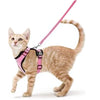 Harnais et Laisse pour Chat – Gilet Ajustable Anti-Fuite 🐾