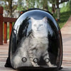 Sac à Dos Bulle pour Chat – Vue Panoramique à 180° | BubblePaw 🐾
