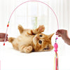Canne à Pêche Interactive pour Chat – Jouet avec Poisson, Plumes & Clochette, Tête Remplaçable 🐾