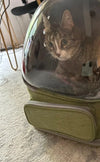 Sac à Dos Transparent pour Animaux – Confortable et Respirant 🐾