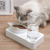 Gamelle Double Inclinée – Eau & Nourriture pour Chats et Petits Chiens 🐾