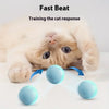 Balle Interactive pour Chat et Chien – Jouet Intelligent & Rechargeable 🐾