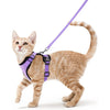 Harnais et Laisse pour Chat – Gilet Ajustable Anti-Fuite 🐾