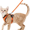 Harnais et Laisse pour Chat – Gilet Ajustable Anti-Fuite 🐾