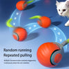 Balle Interactive pour Chat et Chien – Jouet Intelligent & Rechargeable 🐾
