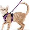 Harnais et Laisse pour Chat – Gilet Ajustable Anti-Fuite 🐾