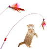 Canne à Pêche Interactive pour Chat – Jouet avec Poisson, Plumes & Clochette, Tête Remplaçable 🐾
