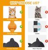 Collier pour Chat Compatible Apple AirTag – Sécurité & Confort avec Clochette et Boucle Anti-Étranglement 🐱