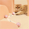 Balle Interactive pour Chat et Chien – Jouet Intelligent & Rechargeable 🐾