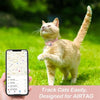 Collier pour Chat Compatible Apple AirTag – Sécurité & Confort avec Clochette et Boucle Anti-Étranglement 🐱