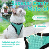Harnais et Laisse pour Chat – Gilet Ajustable Anti-Fuite 🐾