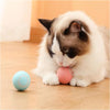 Balle Interactive pour Chat et Chien – Jouet Intelligent & Rechargeable 🐾