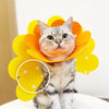 Collier Protecteur pour Chat  – Cône de Récupération Anti-Léchage et Anti-Morsure 🐾