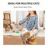 Gamelle 3 en 1 pour Chat – Bols Inclinés & Support Bois 🐾