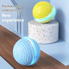 Balle Interactive pour Chat et Chien – Jouet Intelligent & Rechargeable 🐾