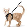 Harnais et Laisse pour Chat – Gilet Ajustable Anti-Fuite 🐾