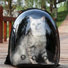 Sac à Dos Bulle pour Chat – Vue Panoramique à 180° | BubblePaw 🐾