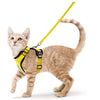 Harnais et Laisse pour Chat – Gilet Ajustable Anti-Fuite 🐾