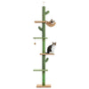 Arbre à Chat 5 Niveaux – Tour Cactus du Sol au Plafond PawsFectly